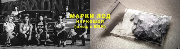 прущие грибы Верхнеуральск