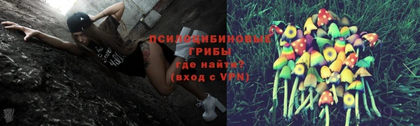 прущие грибы Верхнеуральск
