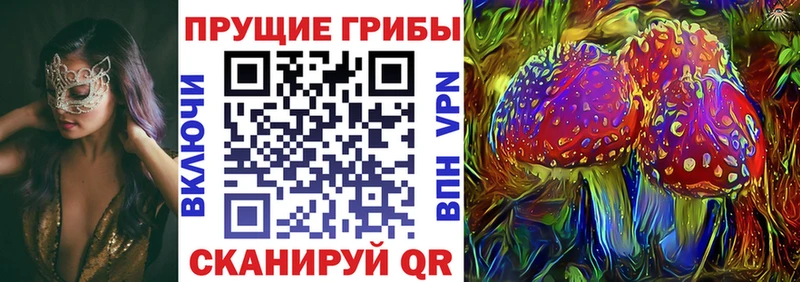 Псилоцибиновые грибы MAGIC MUSHROOMS  закладка  Липецк 
